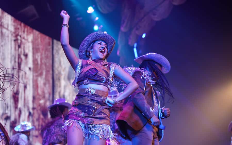 By Night Tour: Roxy Dinner Show & Transfer - Standard or premium package?