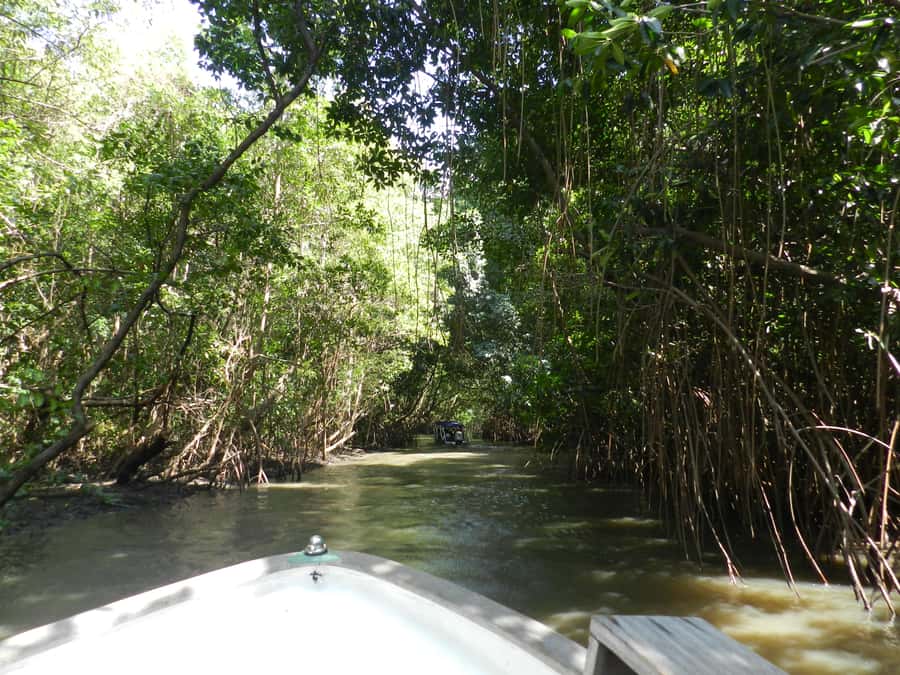 Caburé - Boat tour on the Rio Preguiças - Mandacaru lighthouse views