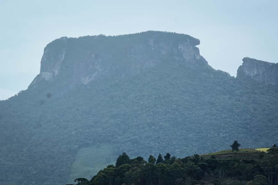 Campos do Jordão: Full-Day Private Tour from São Paulo - Should you book the Campos do Jordão day trip?