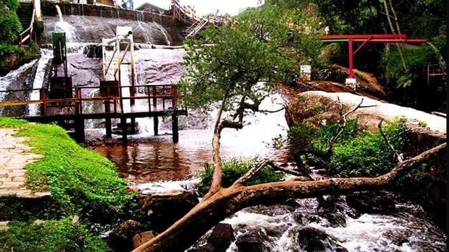 Campos do Jordão: Private 8 Hour Tour - Capivari Village, the heart of the town