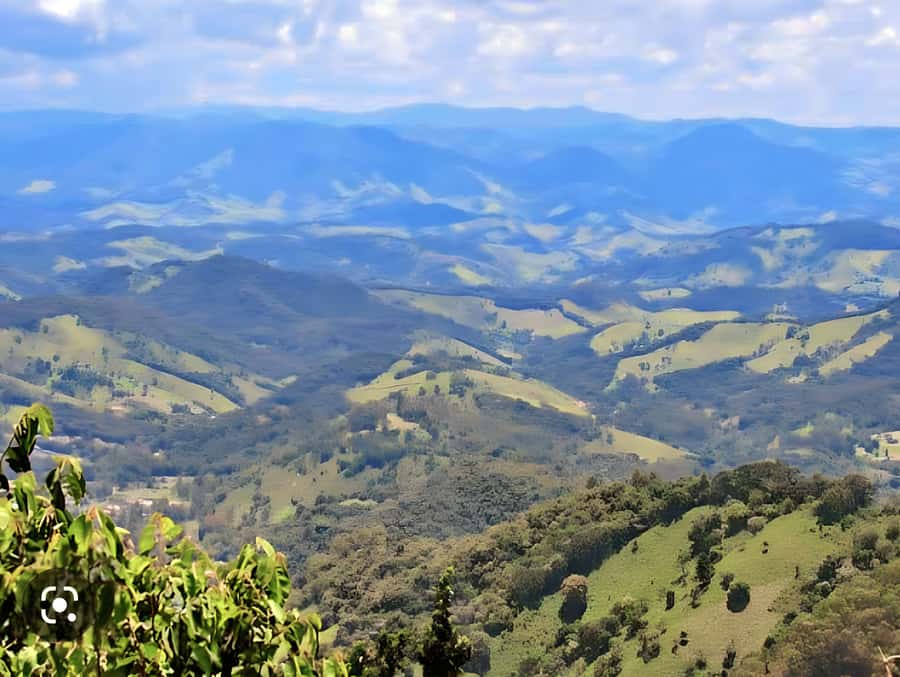 Campos do Jordão The Brazilian Switzerland,Full Day Trip - Araucária Chocolate Factory and a sweet pause