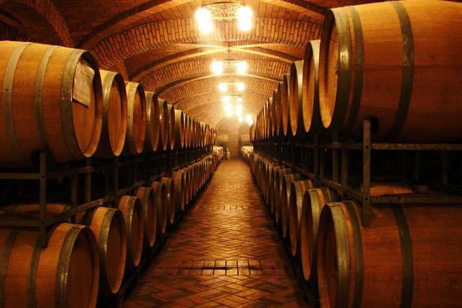 Canela/Gramado: South Wineries, Wine Train, & Italian Park - Key points to know before booking