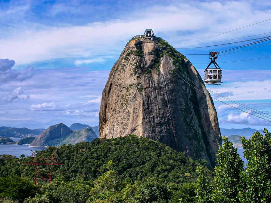 Christ the Redeemer and Escadaria Selarón Half-Day Tour - The climb through Tijuca rainforest to Christ the Redeemer
