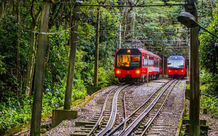 Christ the Redeemer Entry Ticket by Corcovado Train - Is the $45 price good value?
