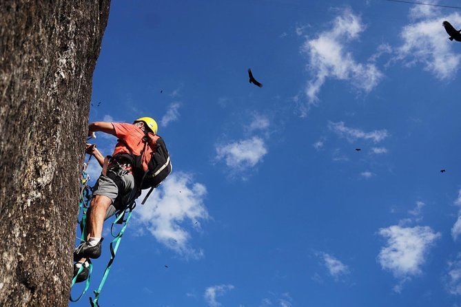 Climb Rio de Janeiro: Rock Climbing Tailored for All Levels - Choosing between top-rope and multi-pitch climbing