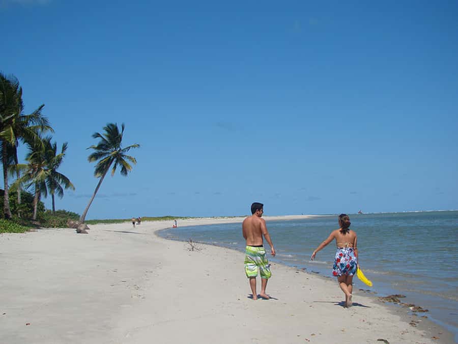 Colonial North Coast beaches - Full-Day Tour - Key points at a glance