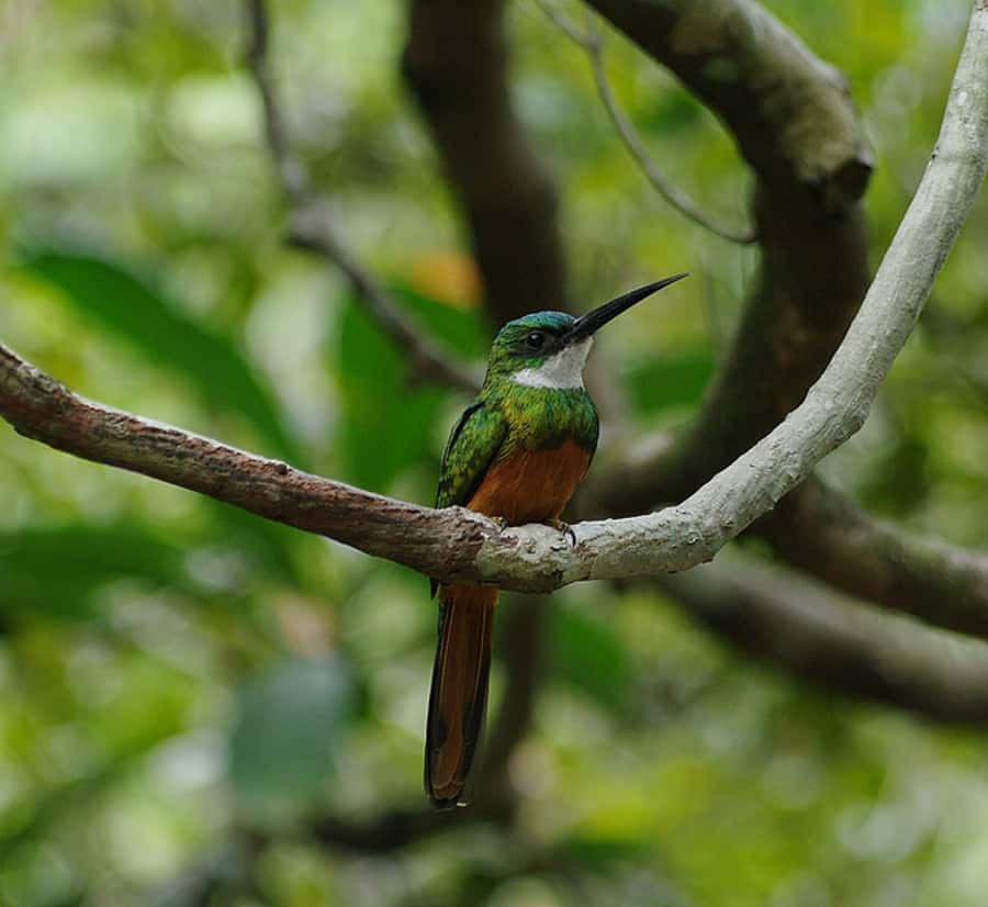 Colonial North Coast beaches - Full-Day Tour - A long day on Brazil’s colonial North Coast