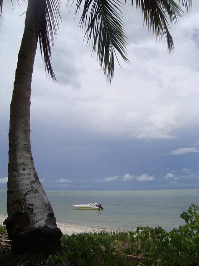 Colonial North Coast beaches - Full-Day Tour - From Recife to Praia do Capitão
