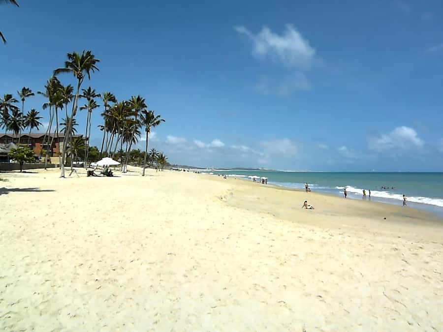 Cumbuco Adventure: Dune Rides, Lagoa do Catu & Coastal Views - Language, comfort, and accessibility
