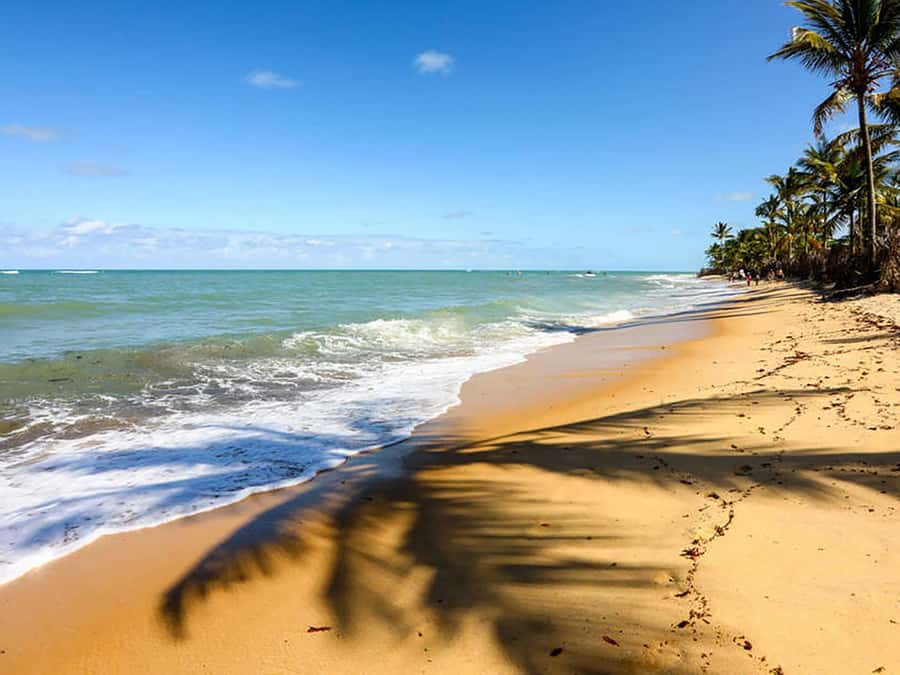 Cumbuco Adventure: Dune Rides, Lagoa do Catu & Coastal Views - Lagoa do Catu offers a cooler pause