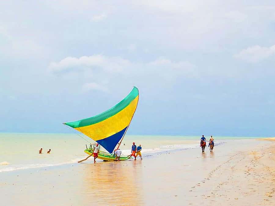 Cumbuco in 1 Day: Unforgettable Tour - Language and communication on the day