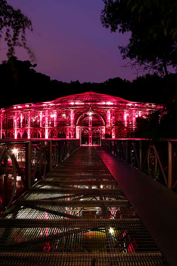 Curitiba: 4-Hour City-By-Night Tour with Dinner - The Wire Opera House Theatre at its best