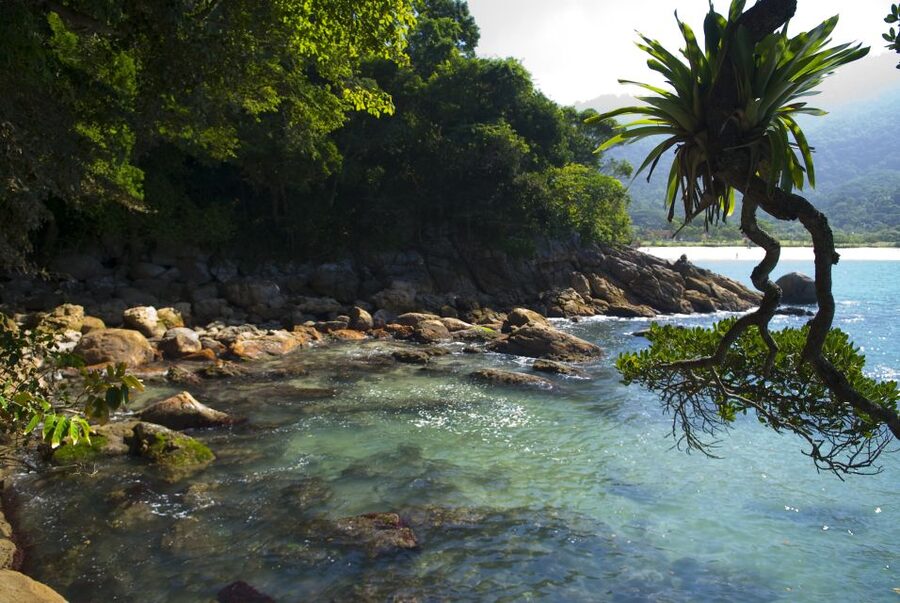Day Tour to Trindade: Nature and Sea Adventure from Paraty - Praia do Meio: your choice of water or trail