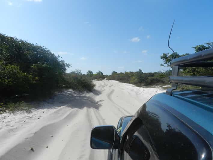Day trip to Atins through the Lencois Maranhenses - Language, comfort, and practical preparation