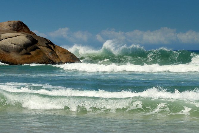 Discover Florianópolis: Full Day City Tour and Local Highlights - What the guides add to the day