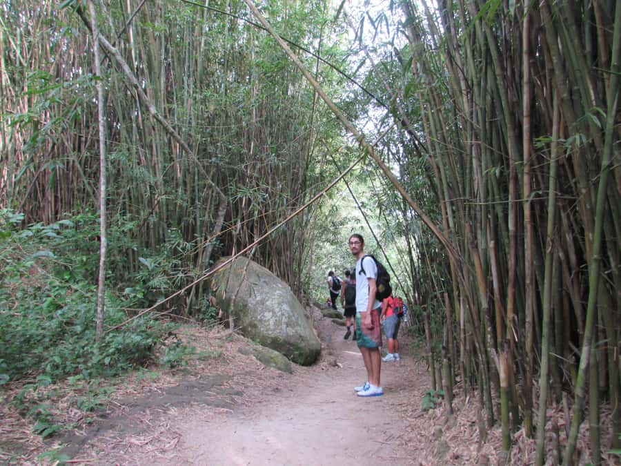 Discover Pedra do Telégrafo: Scenic Hike with Expert Guide - Key points to know before booking