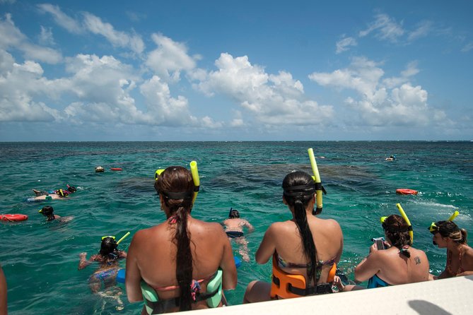 Discover Underwater Beauty: Explore Maracajaú's Parrachos Reef - What the $101.94 price really buys you