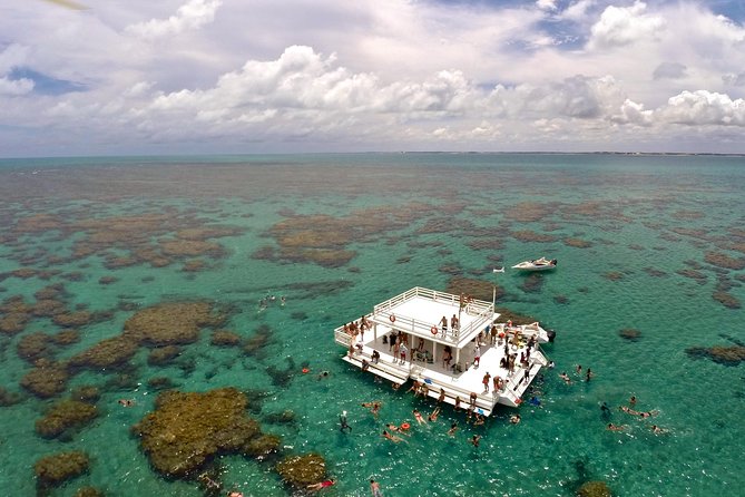Discover Underwater Beauty: Explore Maracajaú's Parrachos Reef - Stop one: Parrachos Reef from the floating platforms