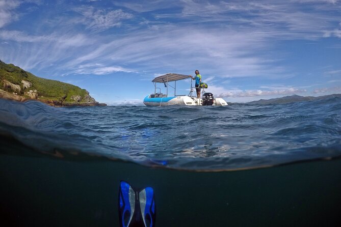 Diving with Turtles in Floripa - Key details before you book