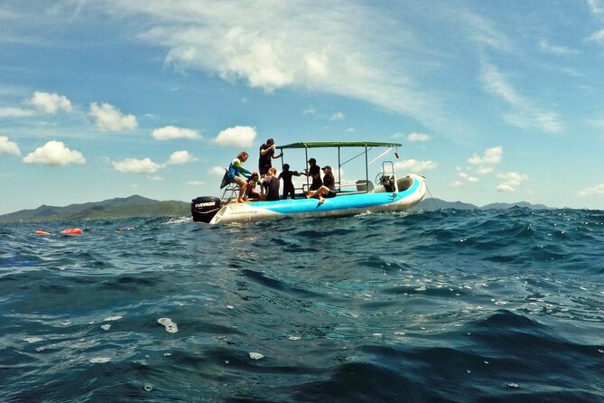 Diving with Turtles in Floripa - Snorkeling gives the morning a second option