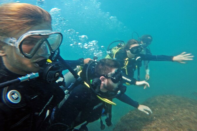 Diving with Turtles in Floripa - What the $97.82 price gets you