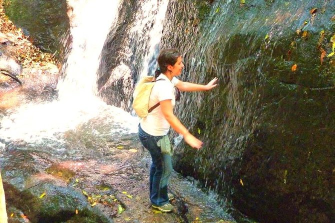 Ecological walk in sao paulo - Key points to know before booking
