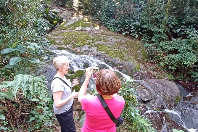 Ecological walk in sao paulo - Pedra Grande trades jungle detail for a broad view