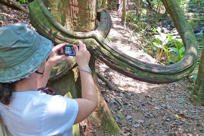 Ecological walk in sao paulo - What to wear and carry