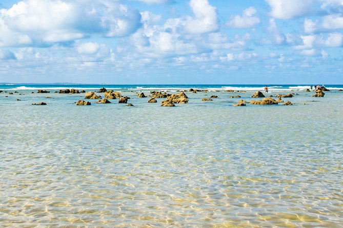 Excursion to Pipa in Rio Grande do Norte - Dolphin Bay, Chapadão, and Praia do Amor
