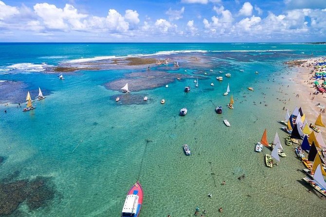 Excursion to Porto de Galinhas in Pernambuco - Key points to know before booking