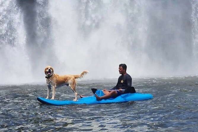 Experience tourism, trails, boat trips and 4x4 car. - Key points to know before booking