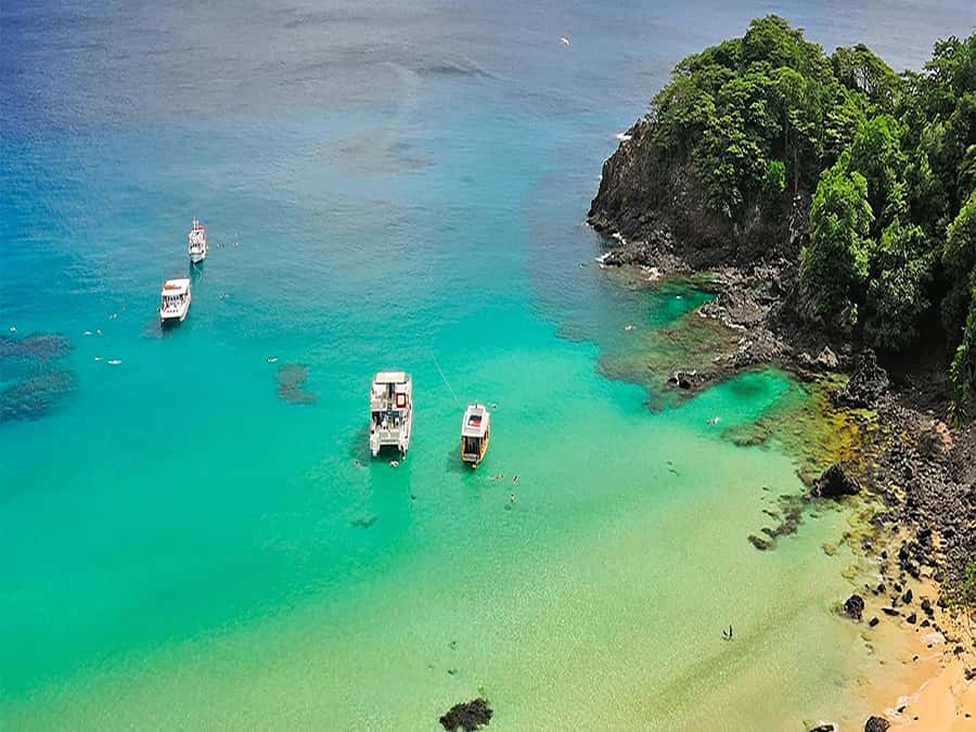 Fernando de Noronha: 7-Hour Island Adventure - Key points to know before you book