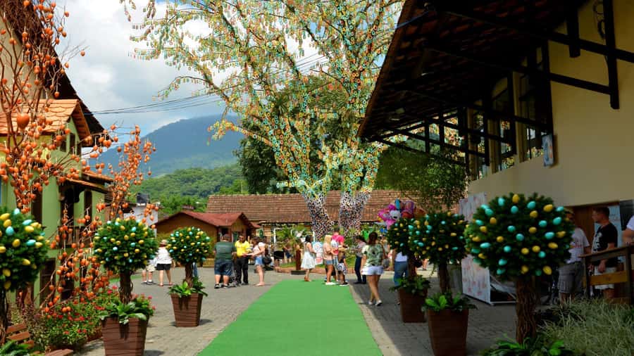 Florianópolis: Blumenau and Pomerode Germanic Route Day Trip - Why Blumenau and Pomerode make a good pair