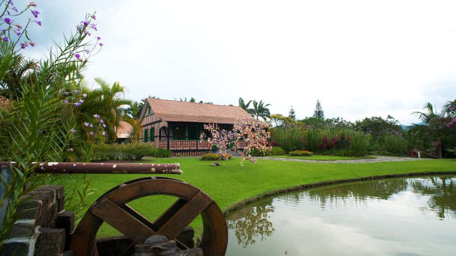 Florianópolis: Blumenau and Pomerode Germanic Route Day Trip - Vila Germanica brings the festival spirit