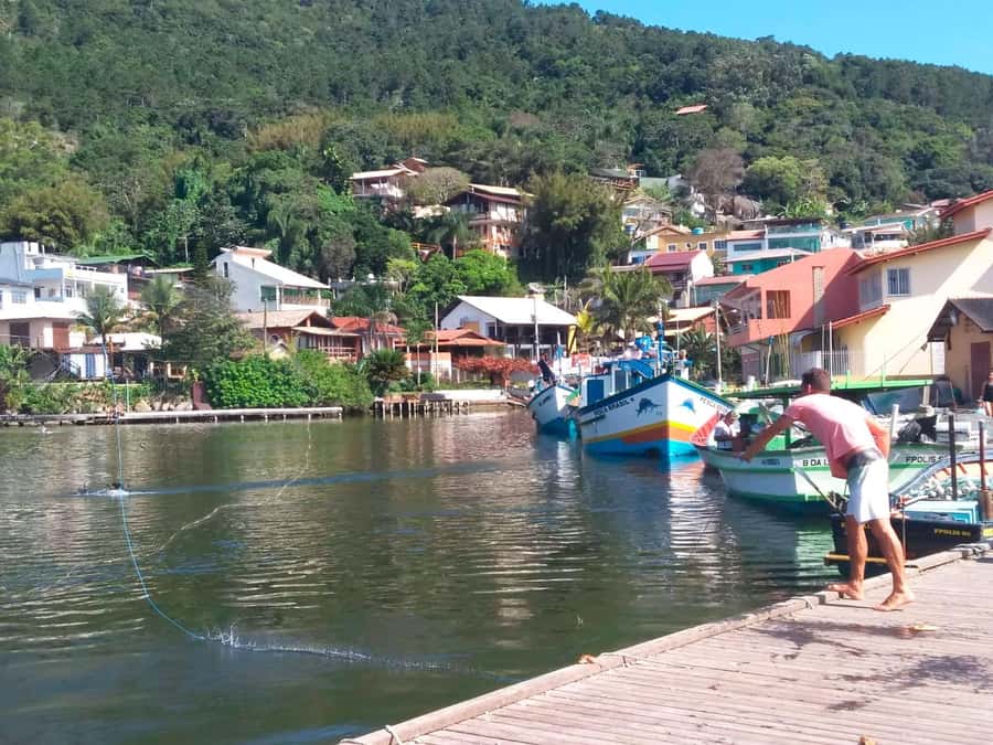 Florianópolis: Historical Center, Beach & Nature Tour - Key points at a glance