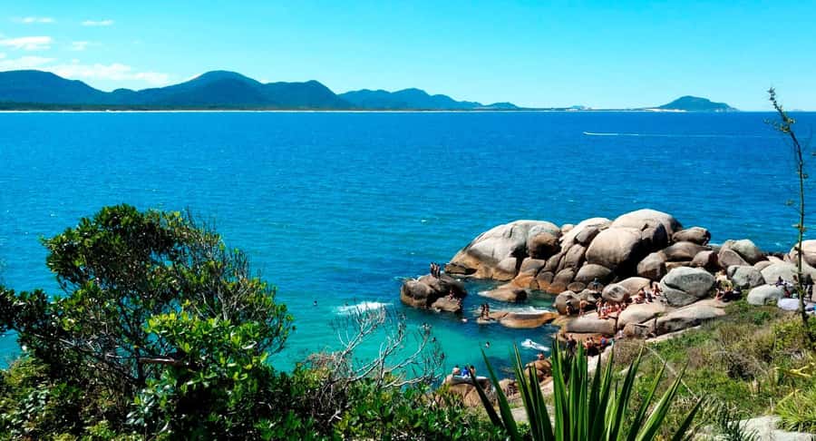 Florianópolis: Historical Center, Beach & Nature Tour - Hercílio Luz Bridge and its broad city view