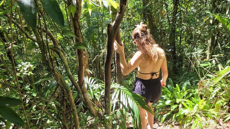 Florianopolis: Lagoinha do Leste Natural Park Hike - Why Lagoinha do Leste is worth the effort