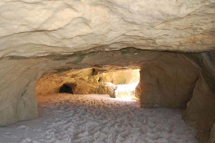 Fortaleza: Tour to Morro Branco and Fontes Beach - Choosing between the walk and the buggy
