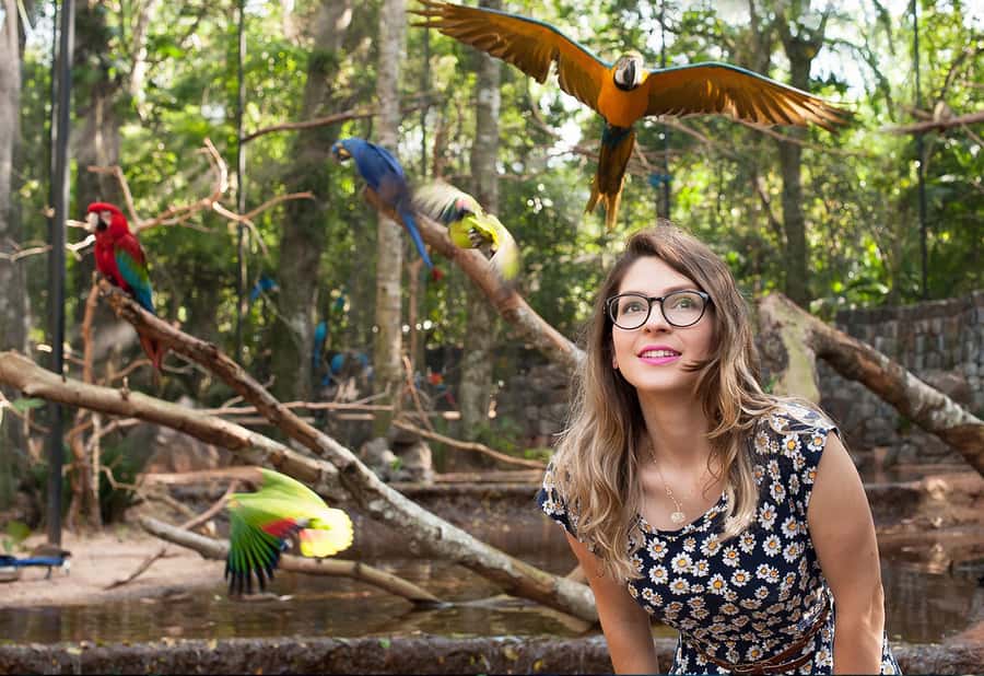 Foz do Iguaçu: Bird Park Tour with Tickets - How much value do you get for $54?