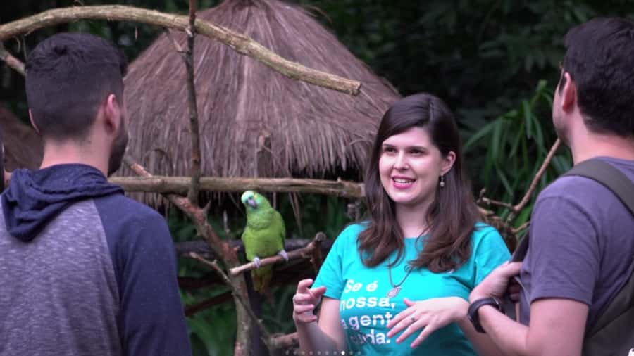 Foz do Iguaçu: Bird Park Tour with Tickets - Timing, group size, and the three-hour limit