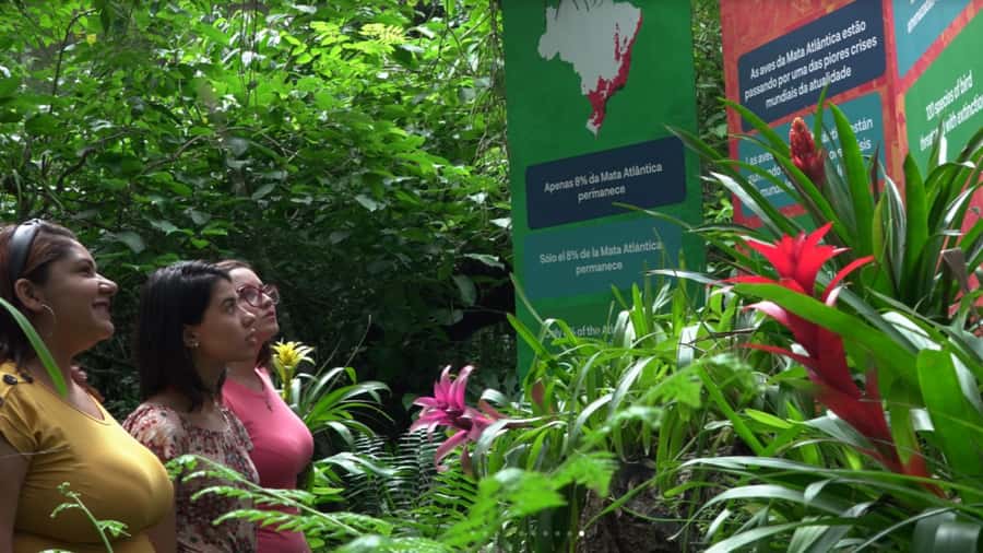 Foz do Iguaçu: Bird Park Tour with Tickets - Languages and the role of the guide