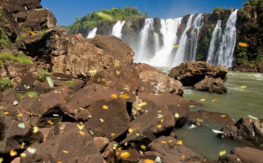 Foz do Iguaçu: Brazilian Side of the Falls - What the guide adds, and where the service can fall short