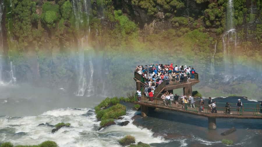 Foz do Iguaçu: Brazilian Side of the Falls + Bird Park - Bird Park: allow 1.5 to 2 hours