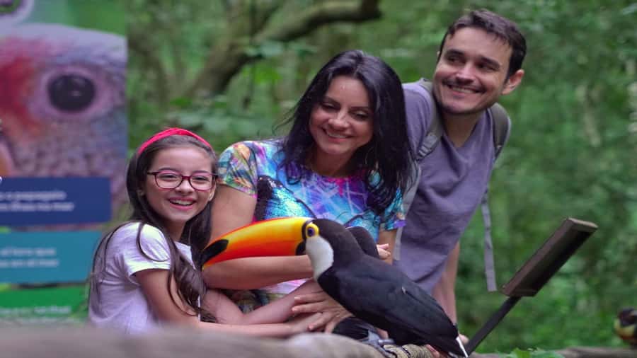 Foz do Iguaçu: Brazilian Side of the Falls + Bird Park - Should you book this Brazilian-side tour?