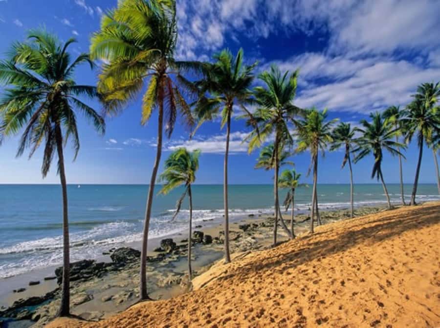 From Fortaleza: Lagoinha Beach Day Trip - Why make the long trip to Lagoinha?
