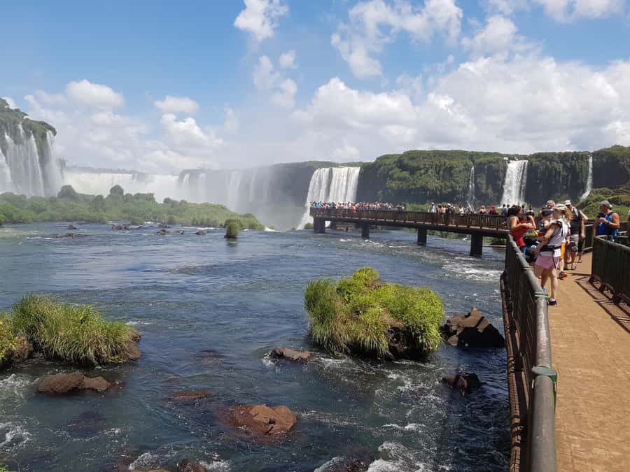 From Foz do Iguaçu: Brazilian Falls and Bird Park Tour - Key points to know