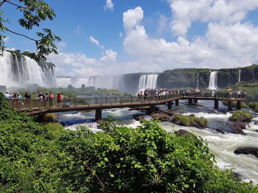 From Foz do Iguaçu: Brazilian Falls and Bird Park Tour - Why this pairing works so well