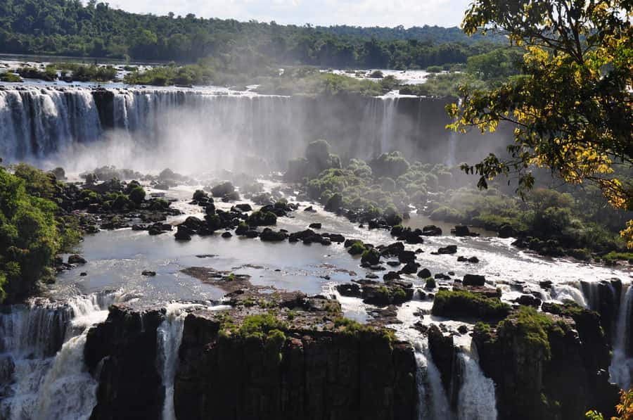 From Foz do Iguaçu: Brazilian Falls and Bird Park Tour - Through 11 kilometers of Iguazu National Park