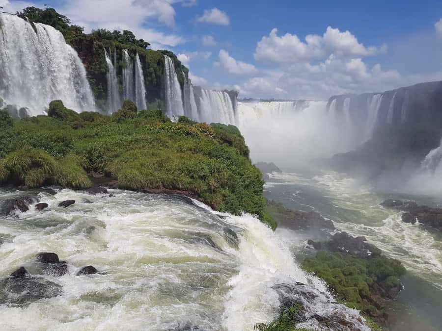 From Foz do Iguaçu: Brazilian Falls and Bird Park Tour - The Bird Park: a calm start among Atlantic Forest species