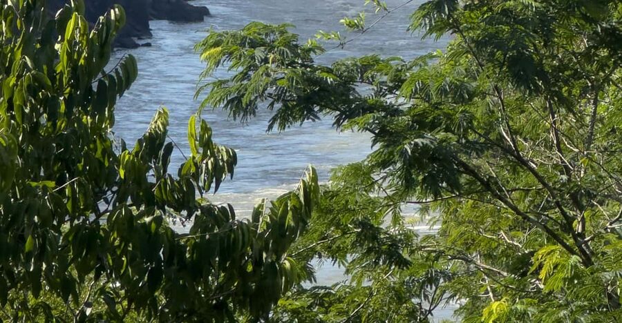 from Foz do Iguaçu: Private Tour on Argentinean Falls - Price, group size, and overall value